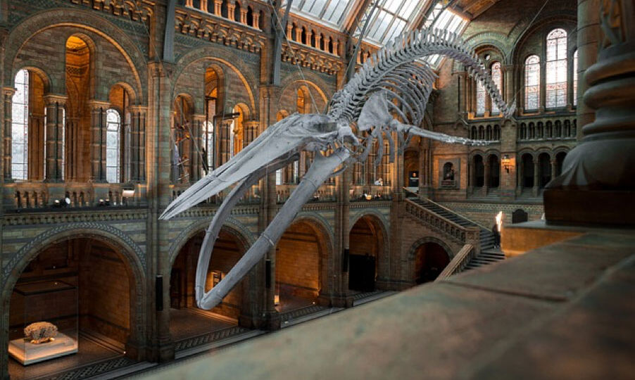 Best Museums in Los Angeles