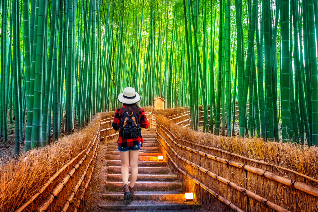 Top 10 Things to Do in Kyoto